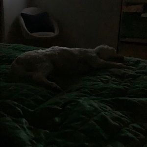 Meet your Posher, Chrissie